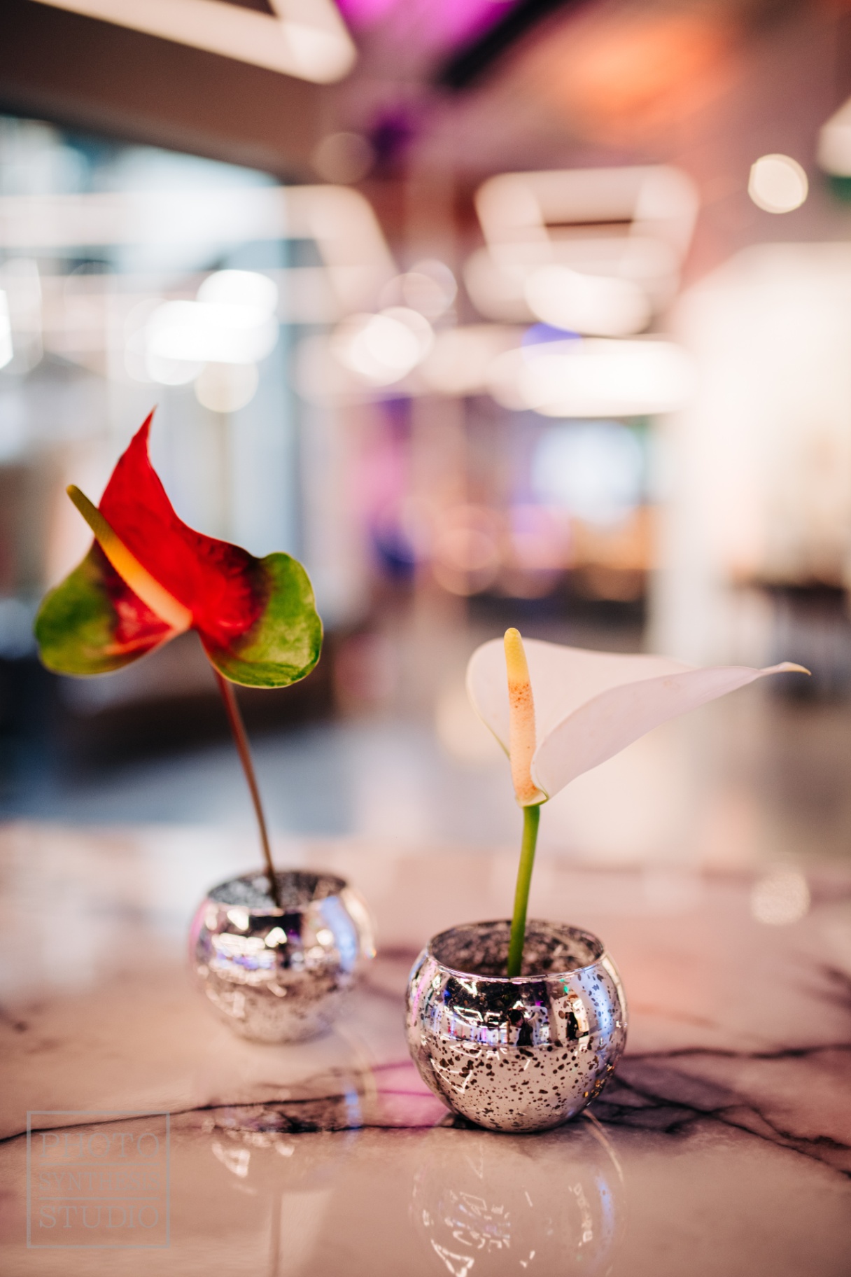 Red and white anthurium stems in mercury bud vases on veined marble