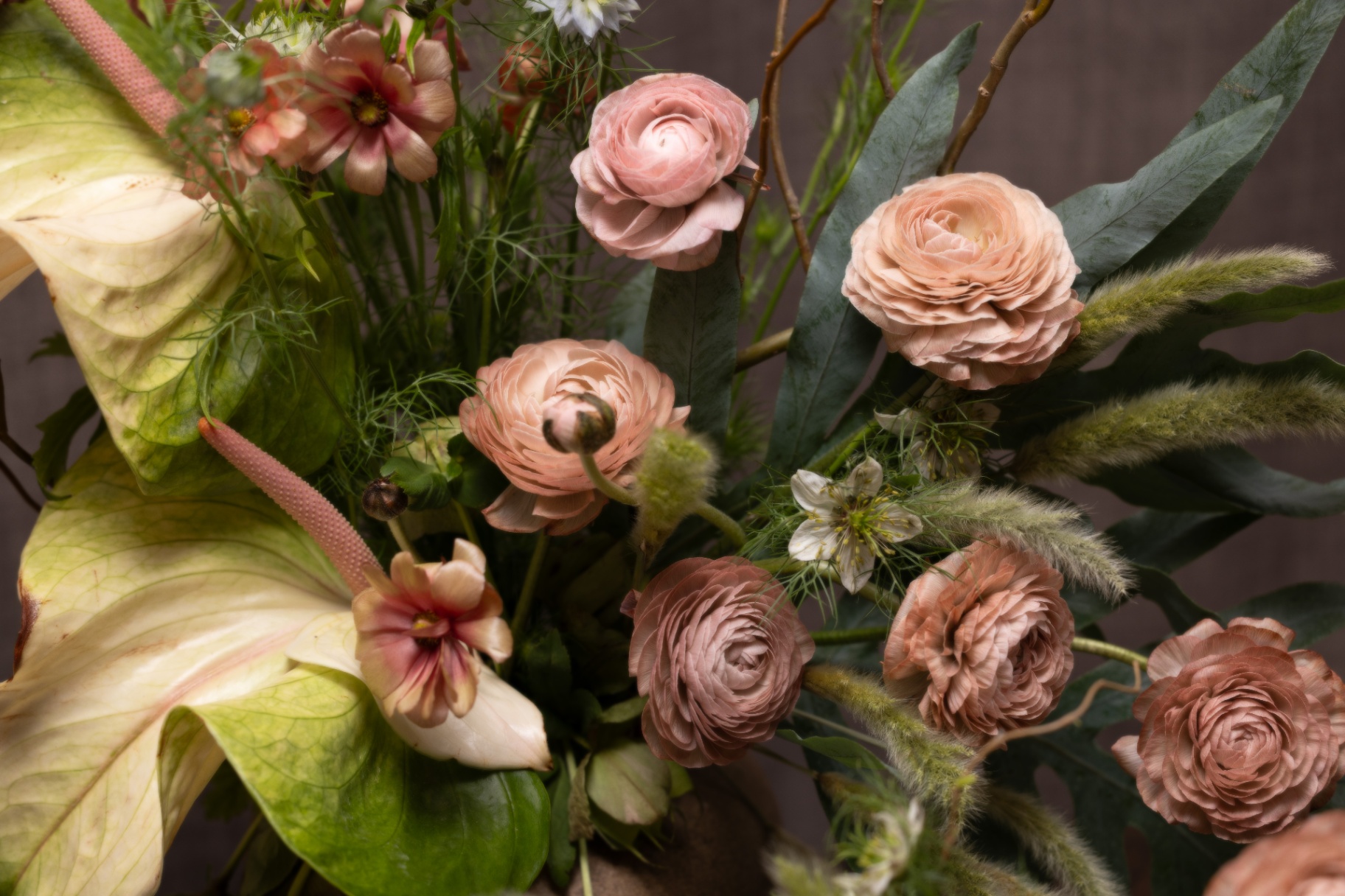 Close-up of blush ranunculus, anthurium, and pampas grass arrangement